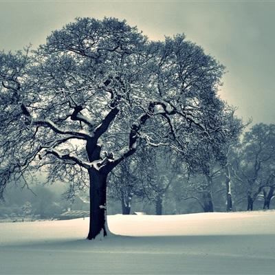 AG官方平台下载地址手机app下载